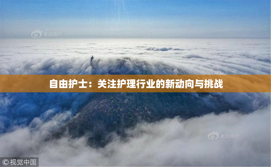 自由护士：关注护理行业的新动向与挑战