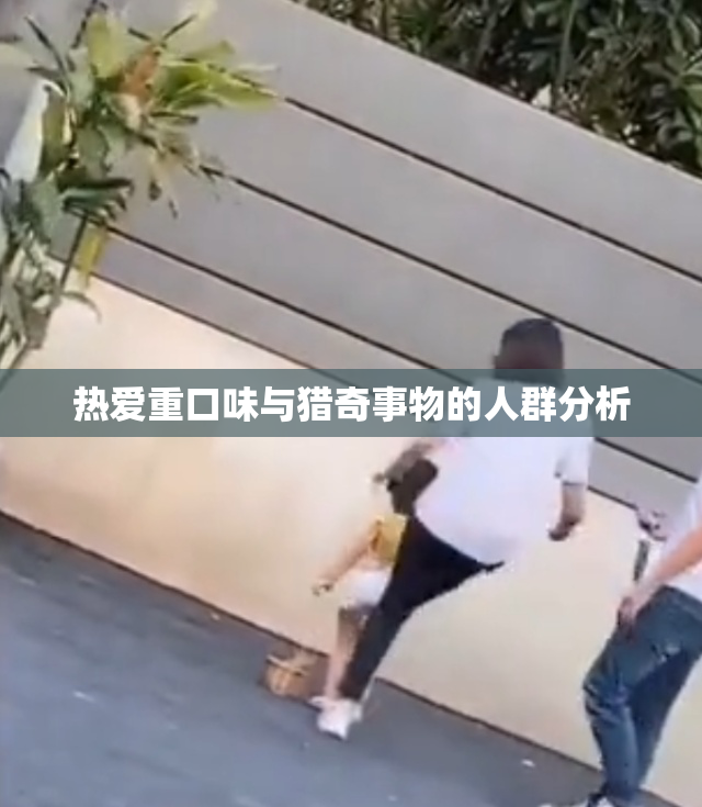 热爱重口味与猎奇事物的人群分析