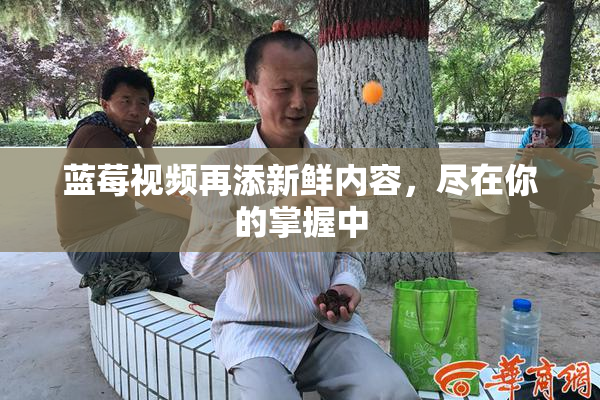 蓝莓视频再添新鲜内容，尽在你的掌握中