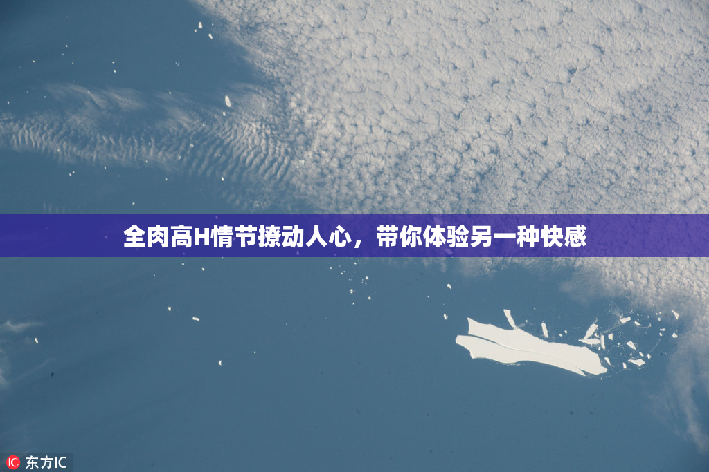 全肉高H情节撩动人心，带你体验另一种快感