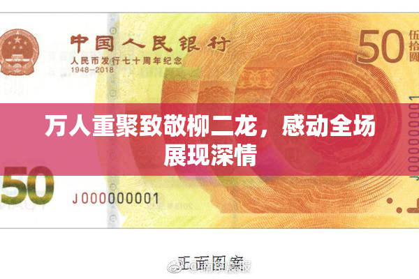万人重聚致敬柳二龙，感动全场展现深情