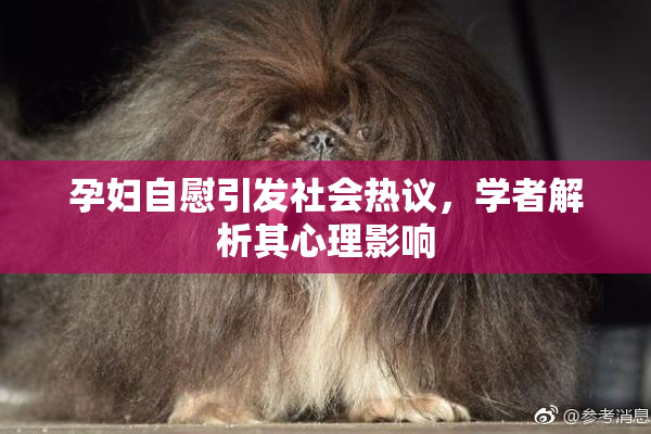 孕妇自慰引发社会热议，学者解析其心理影响