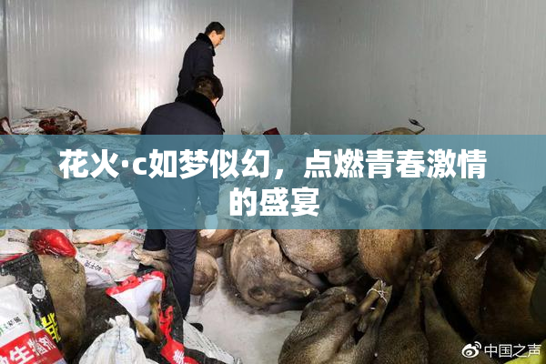 花火·c如梦似幻，点燃青春激情的盛宴