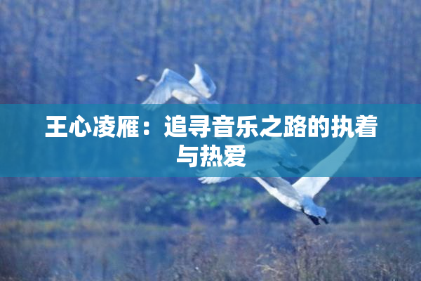 王心凌雁：追寻音乐之路的执着与热爱