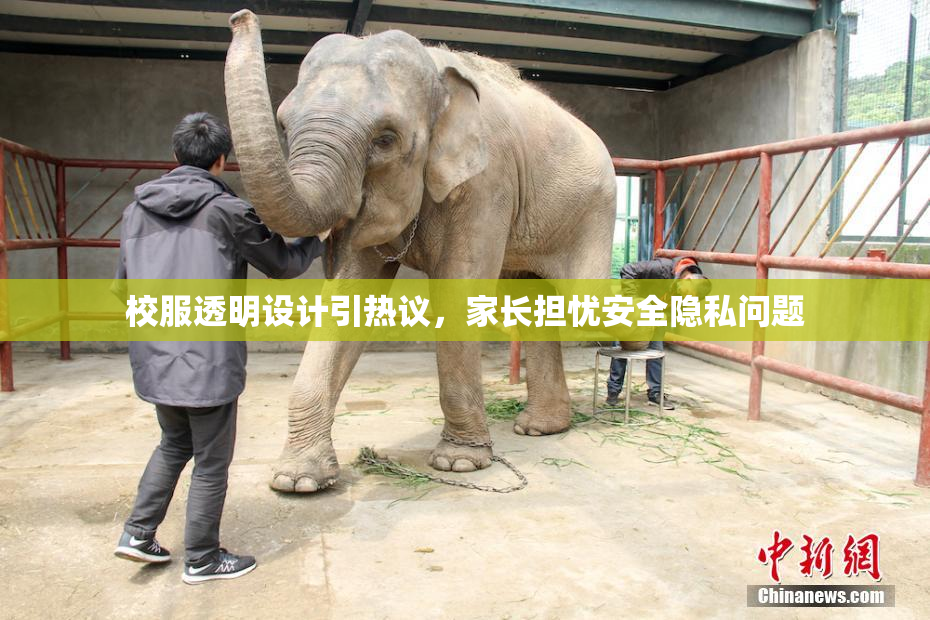 校服透明设计引热议，家长担忧安全隐私问题