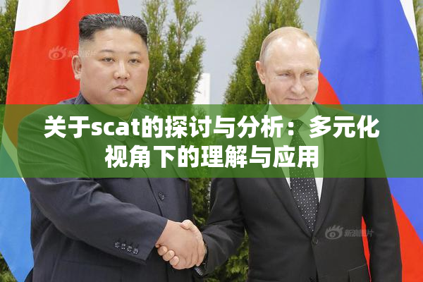 关于scat的探讨与分析：多元化视角下的理解与应用
