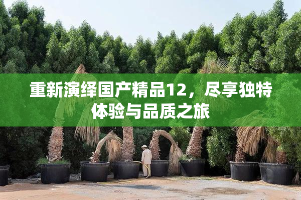 重新演绎国产精品12，尽享独特体验与品质之旅