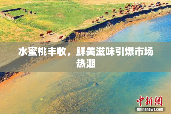水蜜桃丰收，鲜美滋味引爆市场热潮