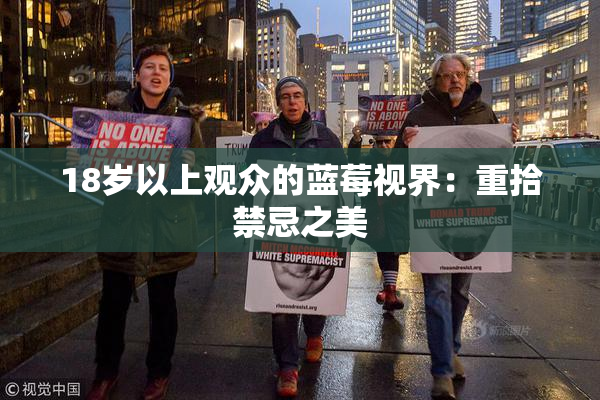 18岁以上观众的蓝莓视界：重拾禁忌之美