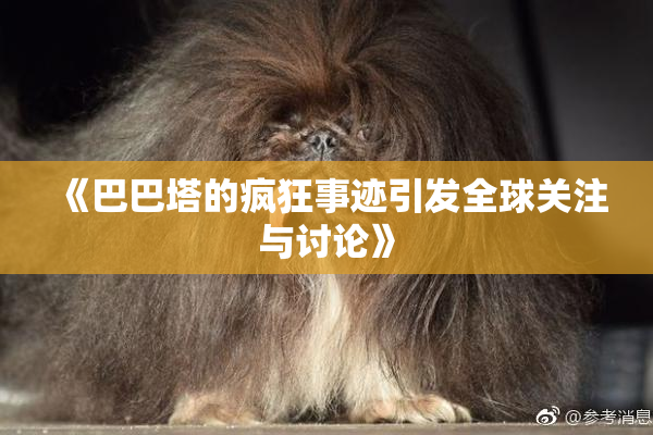 《巴巴塔的疯狂事迹引发全球关注与讨论》