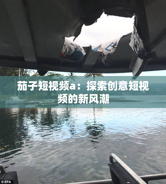 茄子短视频a：探索创意短视频的新风潮