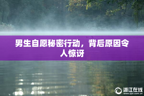 男生自愿秘密行动，背后原因令人惊讶