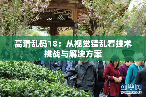 高清乱码18：从视觉错乱看技术挑战与解决方案