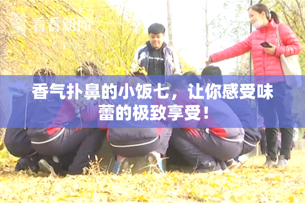 香气扑鼻的小饭七，让你感受味蕾的极致享受！