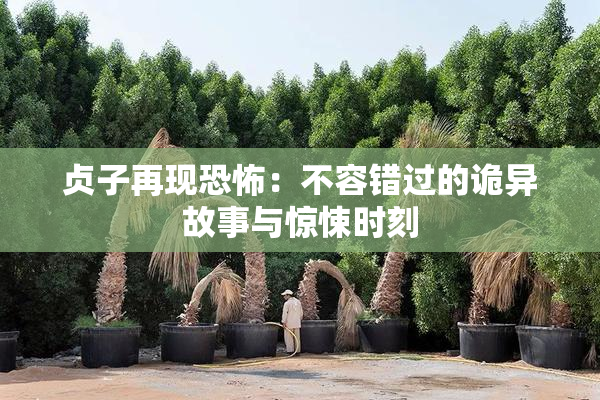 贞子再现恐怖：不容错过的诡异故事与惊悚时刻