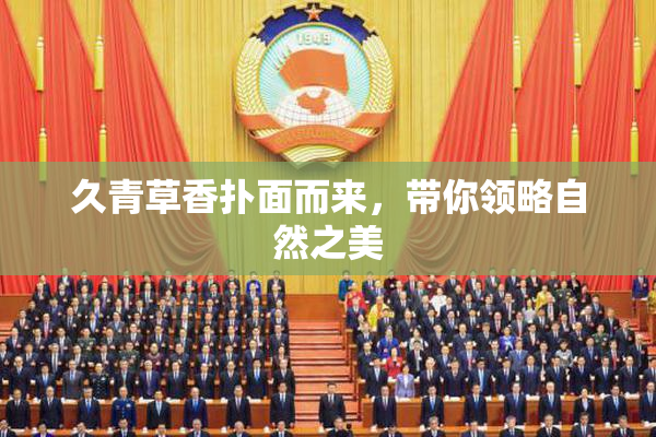 久青草香扑面而来，带你领略自然之美