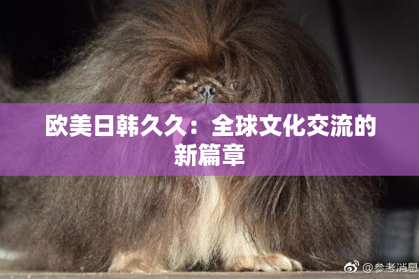 欧美日韩久久：全球文化交流的新篇章
