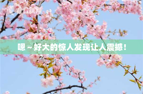 嗯～好大的惊人发现让人震撼！