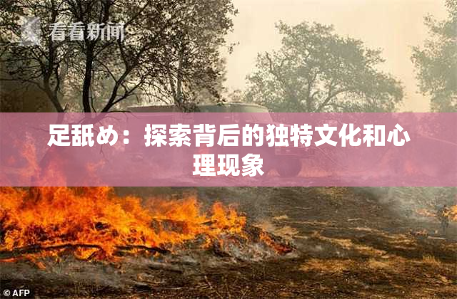 足舐め：探索背后的独特文化和心理现象