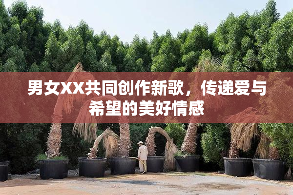 男女XX共同创作新歌，传递爱与希望的美好情感