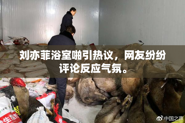 刘亦菲浴室啪引热议，网友纷纷评论反应气氛。