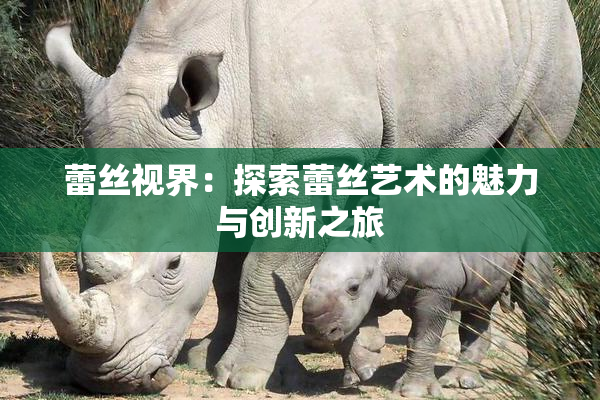 蕾丝视界：探索蕾丝艺术的魅力与创新之旅