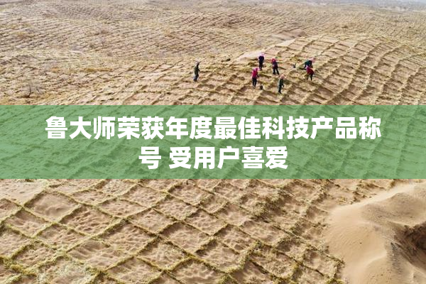 鲁大师荣获年度最佳科技产品称号 受用户喜爱