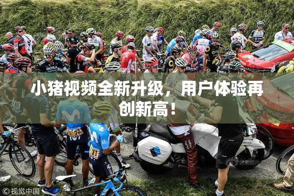 小猪视频全新升级，用户体验再创新高！