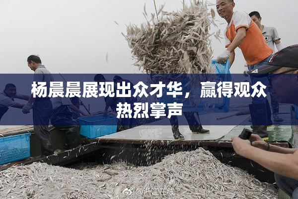 杨晨晨展现出众才华，赢得观众热烈掌声