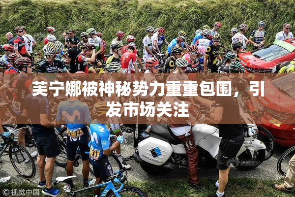 芙宁娜被神秘势力重重包围，引发市场关注