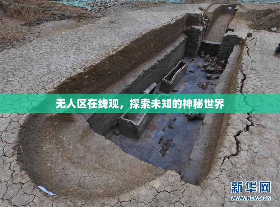 无人区在线观，探索未知的神秘世界