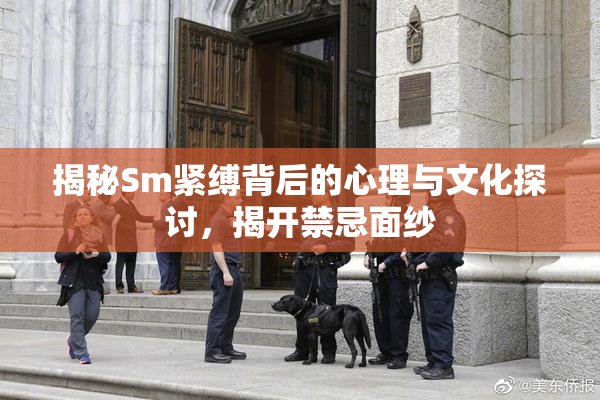 揭秘Sm紧缚背后的心理与文化探讨，揭开禁忌面纱