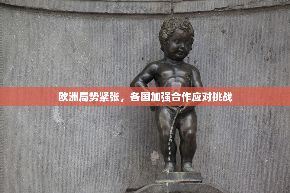 欧洲局势紧张，各国加强合作应对挑战