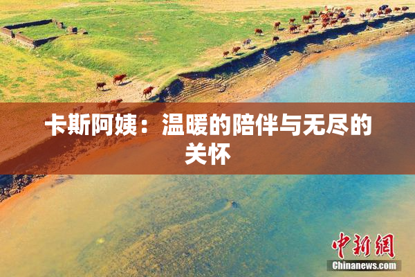 卡斯阿姨：温暖的陪伴与无尽的关怀
