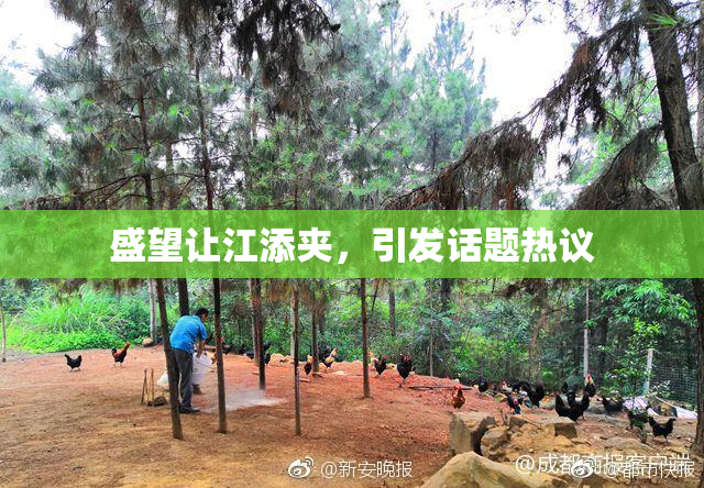 盛望让江添夹，引发话题热议