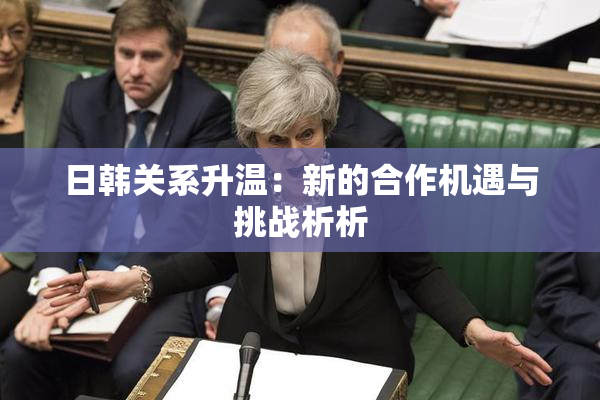 日韩关系升温：新的合作机遇与挑战析析