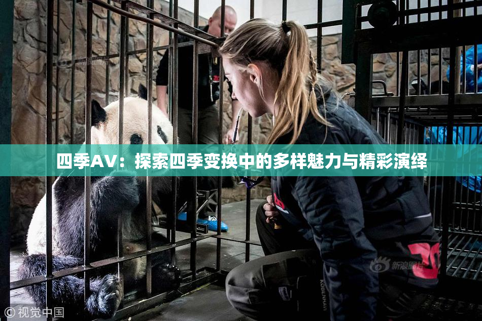 四季AV：探索四季变换中的多样魅力与精彩演绎