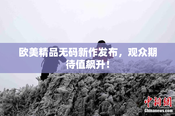 欧美精品无码新作发布，观众期待值飙升！