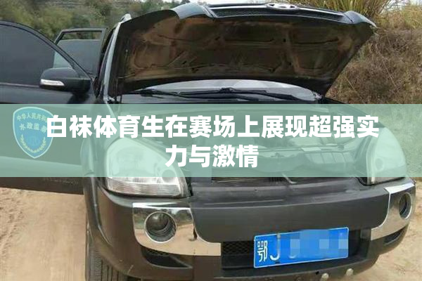 白袜体育生在赛场上展现超强实力与激情
