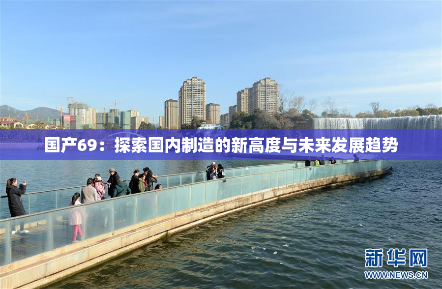 国产69：探索国内制造的新高度与未来发展趋势