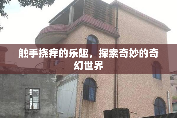 触手挠痒的乐趣，探索奇妙的奇幻世界