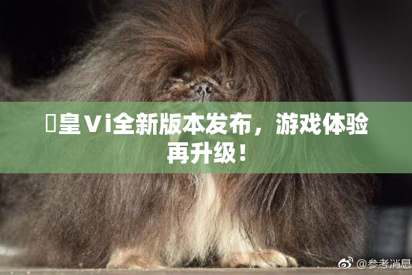 嘼皇Ⅴi全新版本发布，游戏体验再升级！