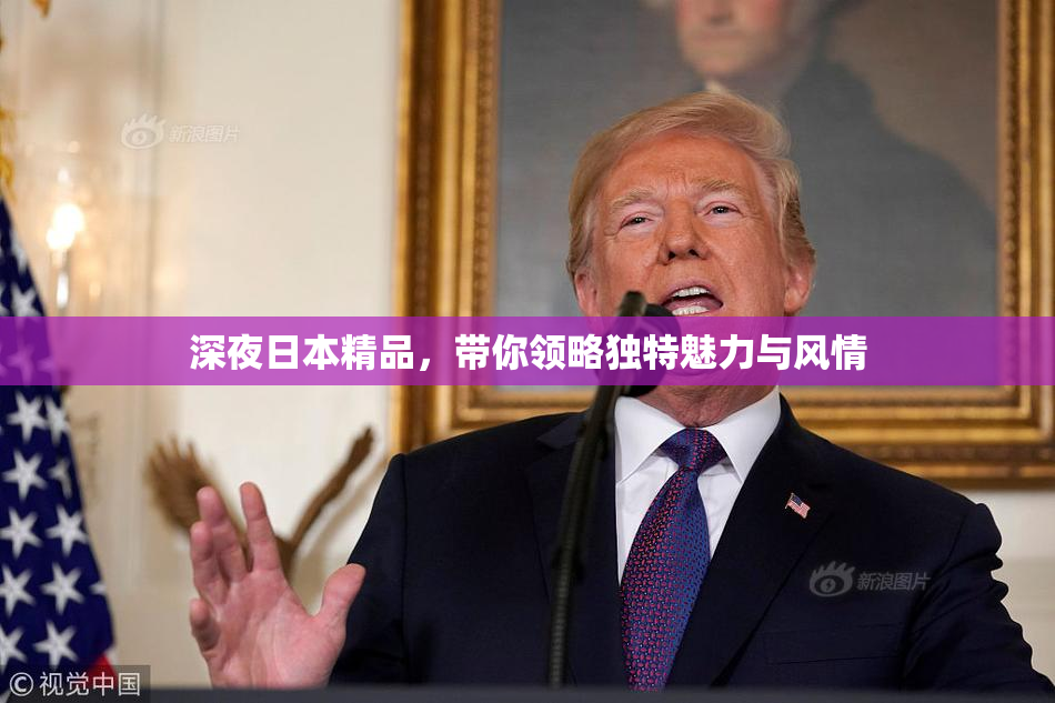 深夜日本精品，带你领略独特魅力与风情