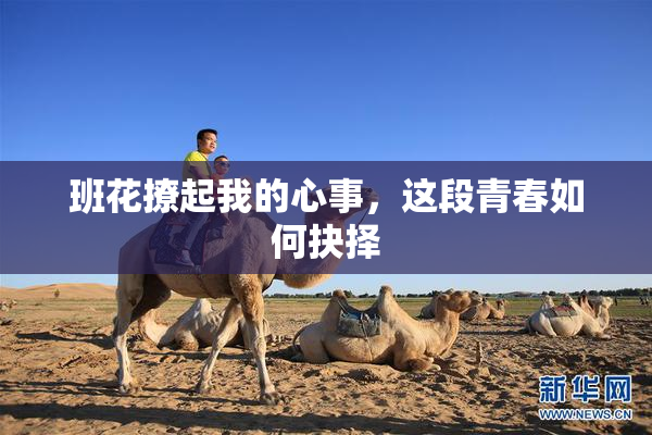 班花撩起我的心事，这段青春如何抉择