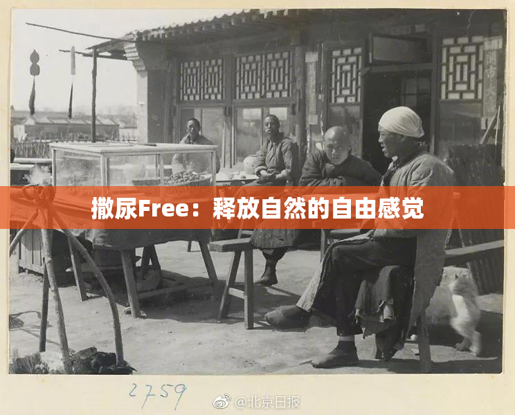 撒尿Free：释放自然的自由感觉