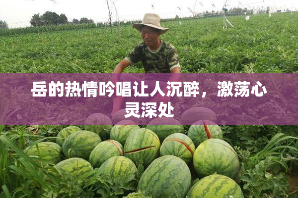 岳的热情吟唱让人沉醉，激荡心灵深处