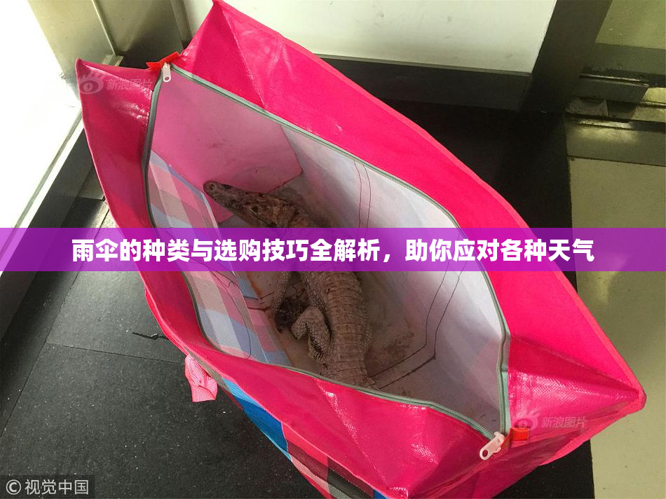 雨伞的种类与选购技巧全解析，助你应对各种天气