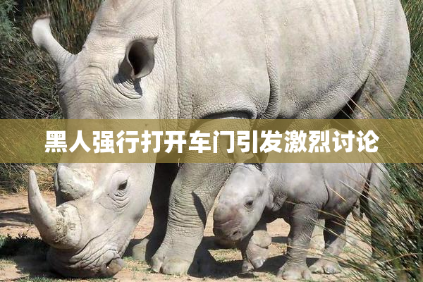 黑人强行打开车门引发激烈讨论