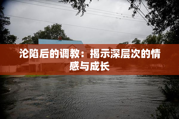 沦陷后的调教：揭示深层次的情感与成长
