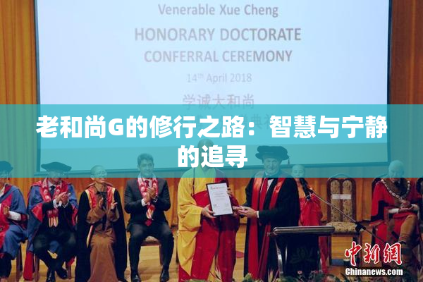 老和尚G的修行之路：智慧与宁静的追寻